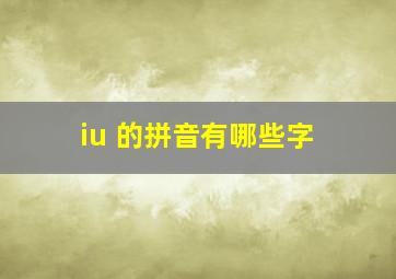 iu 的拼音有哪些字